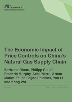 The Economic Impact of Price Controls on China’s Natural Gas Supply Chain (1)