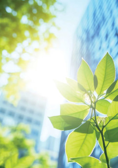 Dp00555 Cover Image
