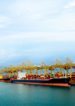 Dp00509 Cover Image