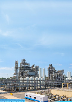 Mp00062 Cover Image