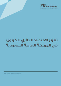 Advancing the Circular Carbon Economy in Saudi Arabia (2)