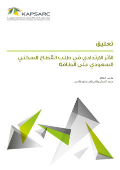 The Rebound Effect in Residential Energy Demand: The Case of Saudi Arabia (2)