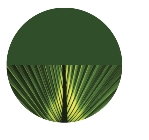 Publication thumbnail