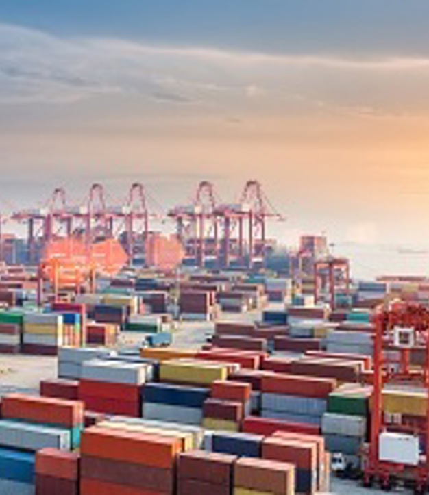Effects of trade liberalization on China's import of plastics from the GCC (2)